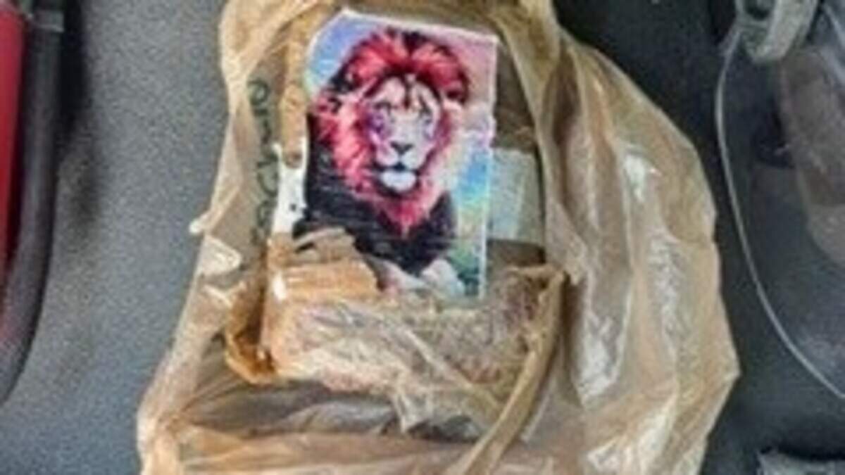A kilogram of what authorities believe to be cocaine marked with an image of a lion is placed in the back of a Monroe County Sheriff’s Office car on Wednesday, July 8, 2026.