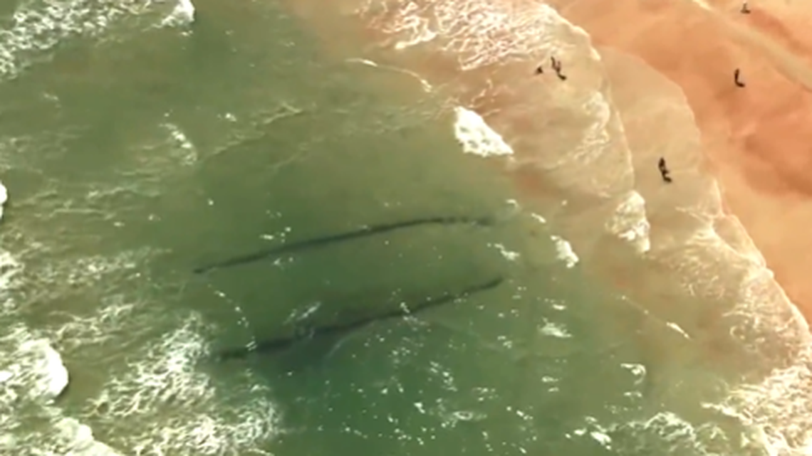A mysterious shipwreck that emerged off Daytona Beach, Florida, is roughly three times larger than initially suspected, according to marine archaeologists.