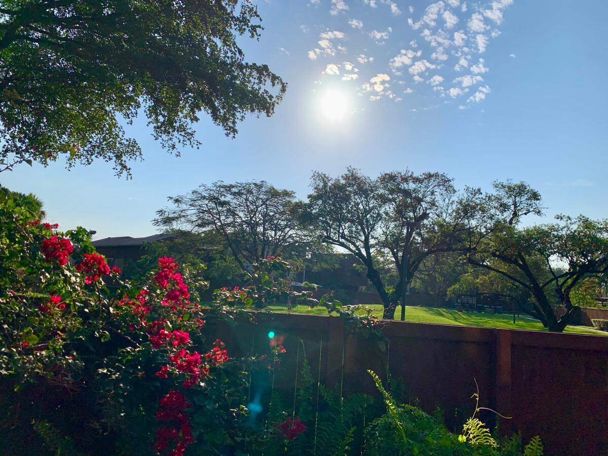 After four days of near nonstop rain that began on Easter Sunday, the sun said hello in this Kendall-area community on Thursday morning, April 13, 2023. But the bright rays may dim later Thursday as more rain is in the forecast before a general clearing on Friday and Saturday.