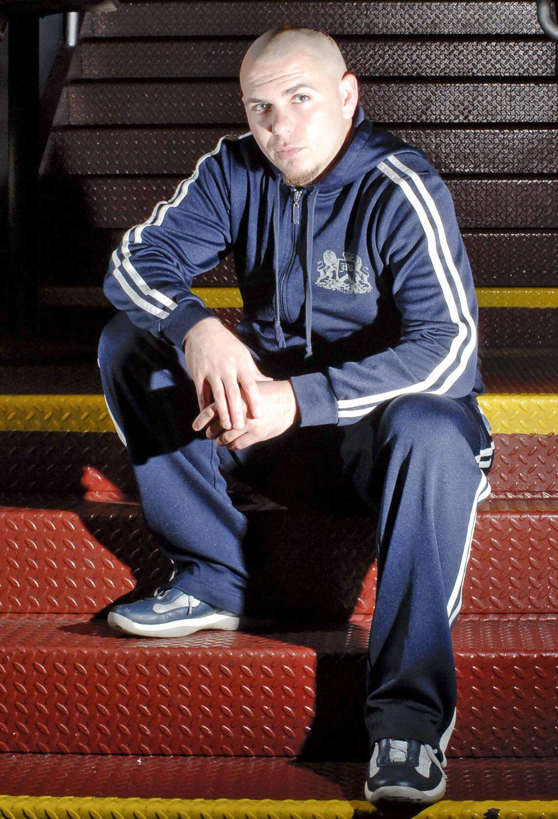 In 2008, Pitbull poses for a photo shoot.