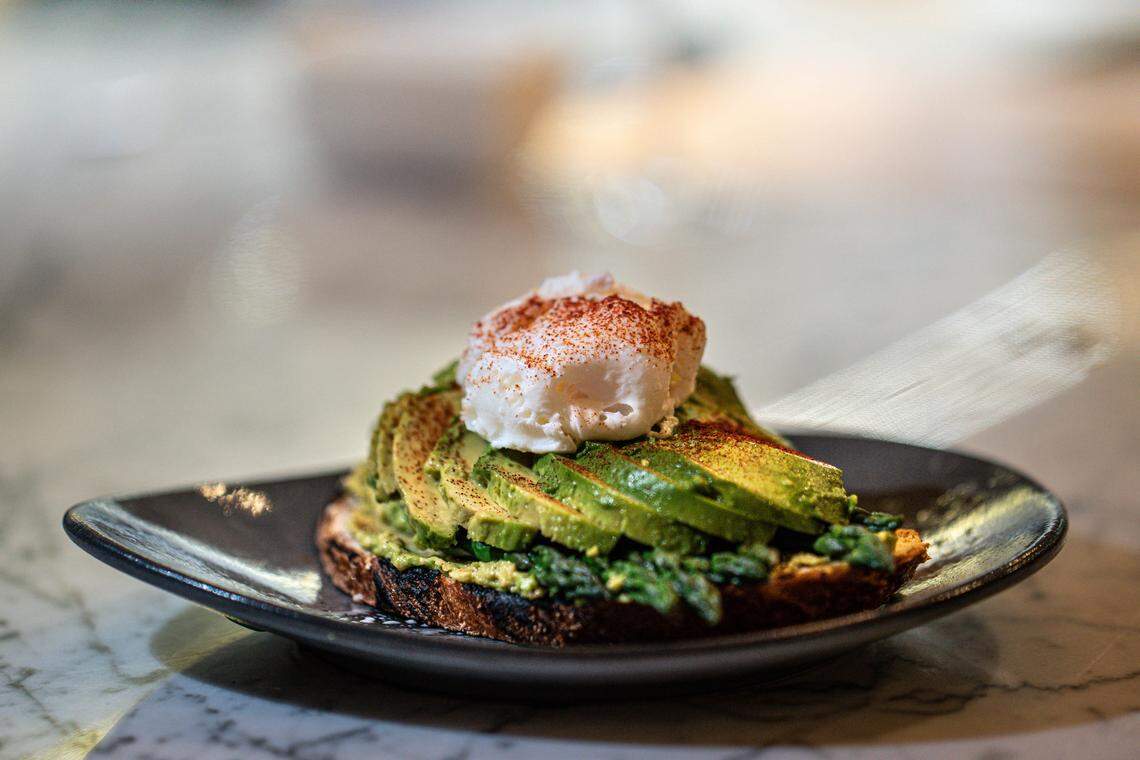 Botanico Gin & Cookhouse, set to open Spring 2020 in CocoWalk, will feature “modern American” dishes such as avocado toast.
