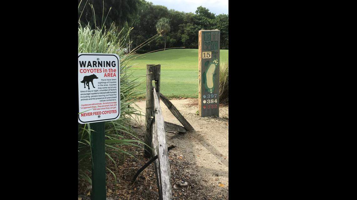 A new sign on the golf course at Miami Shores Country Club, put up in July 2019, warns of coyote sightings in the area and tells people to never feed them.
