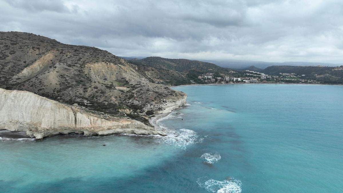 On a garden wall in a coastal town on Cyprus, a yearslong search for an ancient creature was successful.