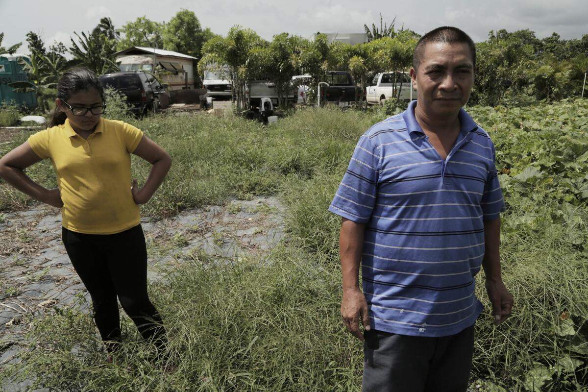 Andrés and his daughter Arelis on their land in South Dade, where the family raises vegetables to sell to local bodegas. The mother was detained for driving without a license and now faces deportation.