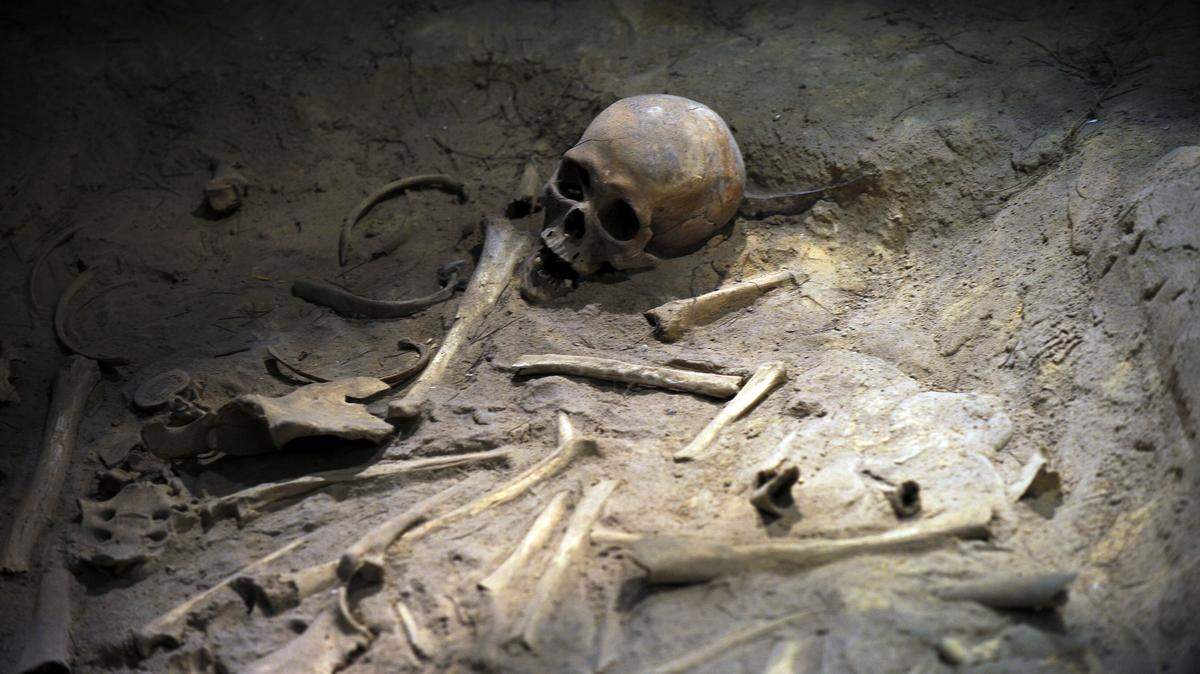 human remains nanjing massacre