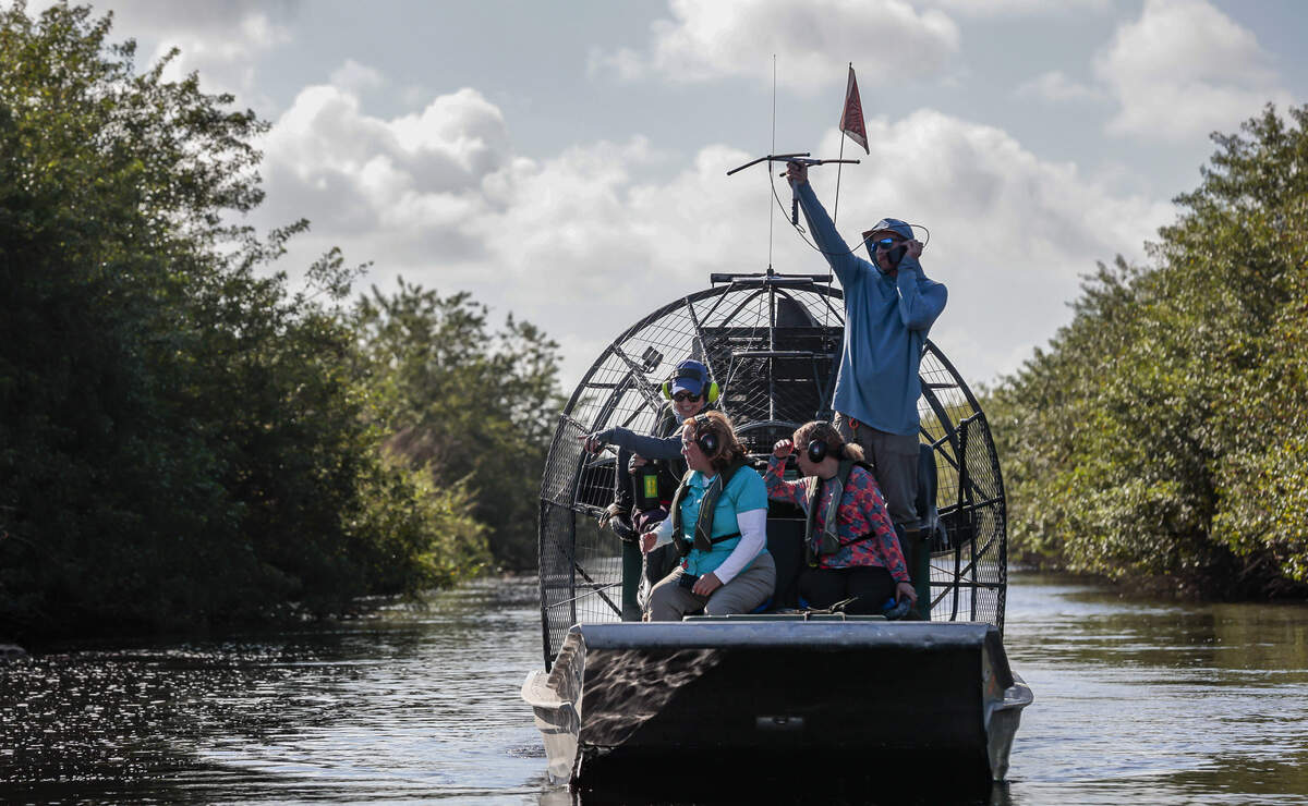 Brandon Welty, a python researcher with Croc Docs, holds up an antenna and receiver to track where a male python during breeding season on March 11, 2026 in the interior of the northern Everglades.