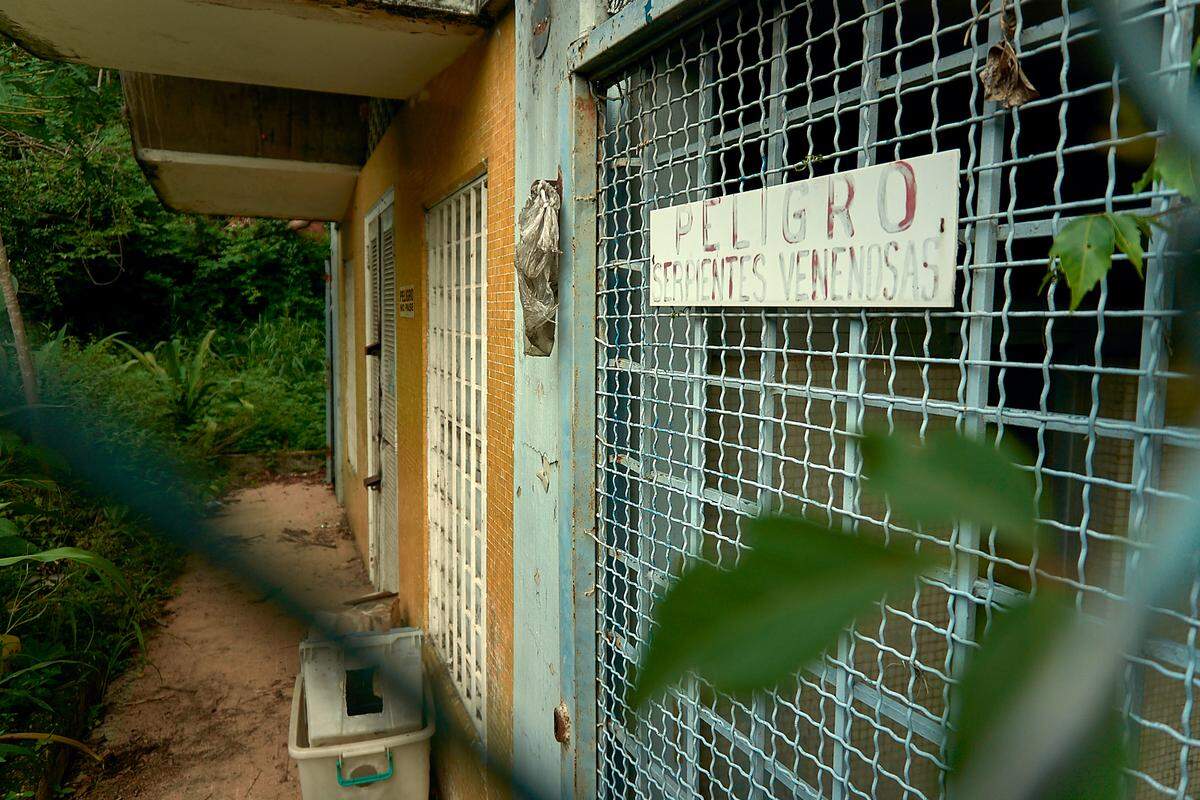Persistent break-ins at the Institute of Tropical Diseases, which have resulted in stolen animals inoculated with parasites and bacteria as well as missing data about possible virus hot spots and other vital records, are raising concern among experts of a real possibility of a lethal epidemic outbreak.