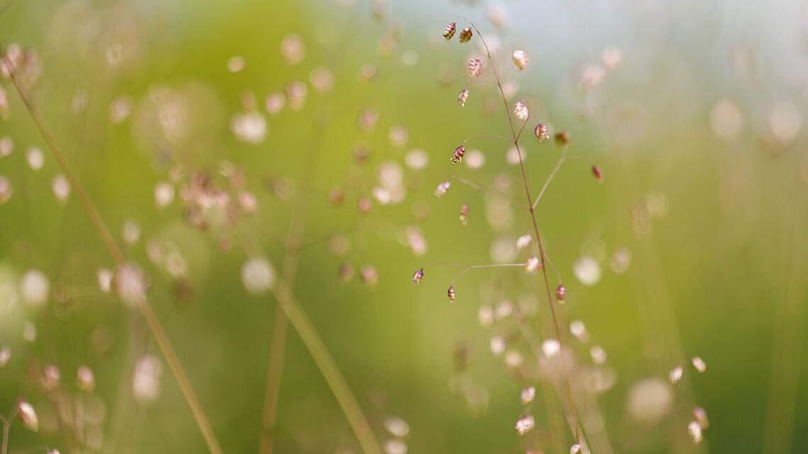 A 2025 clinical trial found grounding reduced stress, insomnia and daytime sleepiness in 31 days. Here’s what grounding is, why it works and how to do it starting tomorrow.