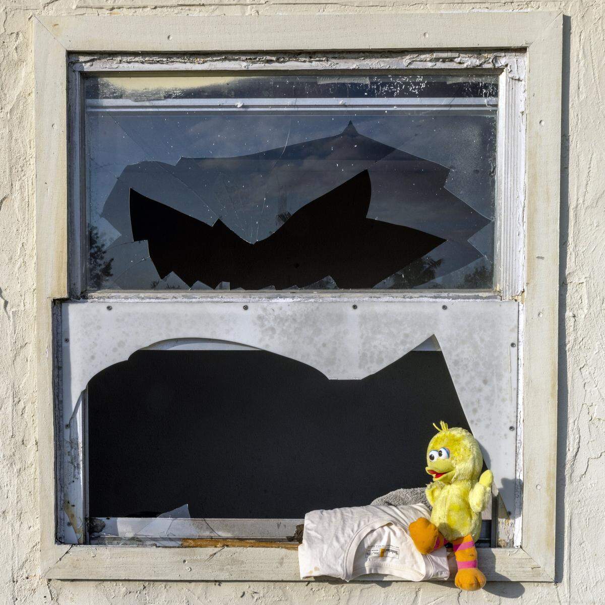 A T-shirt and a toy Big Bird sit in the broken window of an abandoned trailer at the Li’l Abner Mobile Home Park on Sunday, Dec. 21, 2025, in Sweetwater, Florida. 