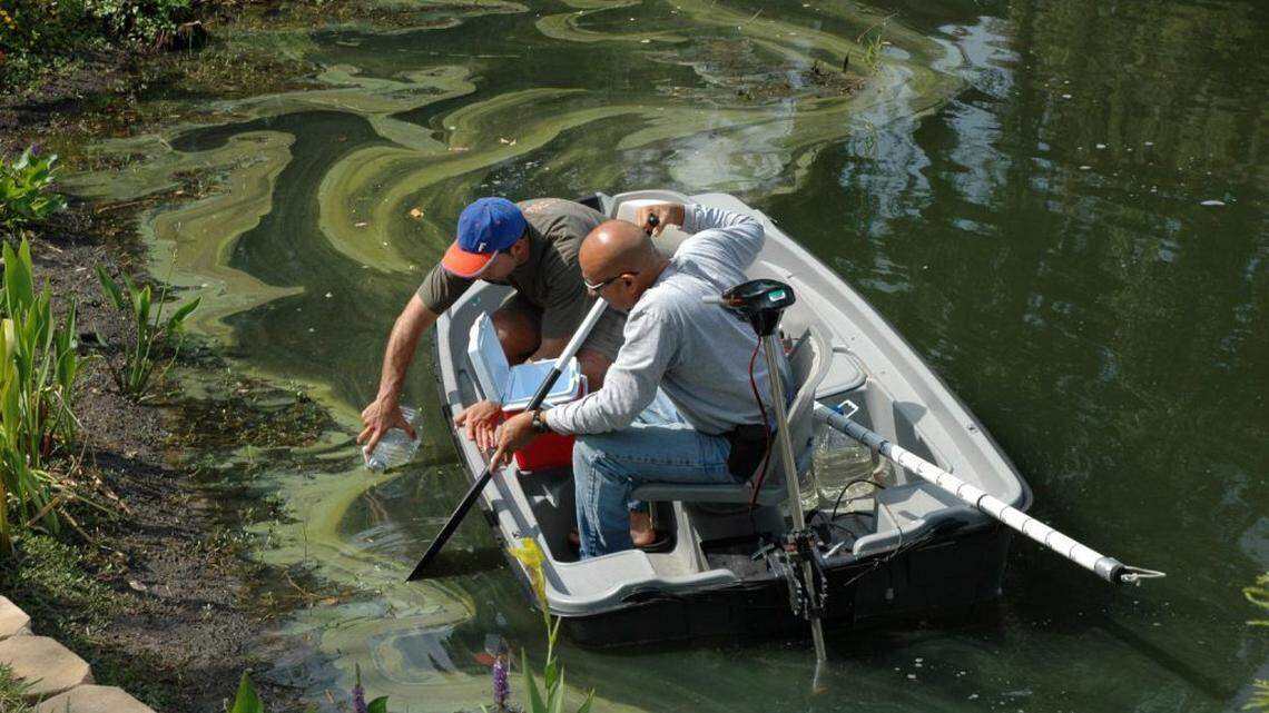 UF Institute of Food and Agricultural Sciences researchers test algae-infested waters in Hillsborough County. More than 100 local governments in Florida have implemented landscape fertilizer bans in an effort to keep nutrients from fouling local waterways. The Florida Legislature wants to ban the bans while UF/IFAS studies their effectiveness. (Photo courtesy Edward Phlips,