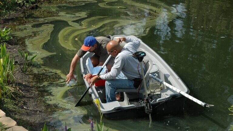 Florida’s fertilizer industry funds research that prompts phosphorus-friendly laws