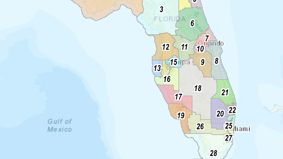 Mientras los legisladores se preparan para volver al Capitolio para un período especial de sesiones sobre la modificación de distritos, el gobernador Ron DeSantis presentó el 13 de abril un mapa que crearía 20 distritos republicanos en la Florida, cuatro más que los actuales, y ocho distritos demócratas. El plan también reduce el número de distritos en manos de representantes negros de cuatro a dos.