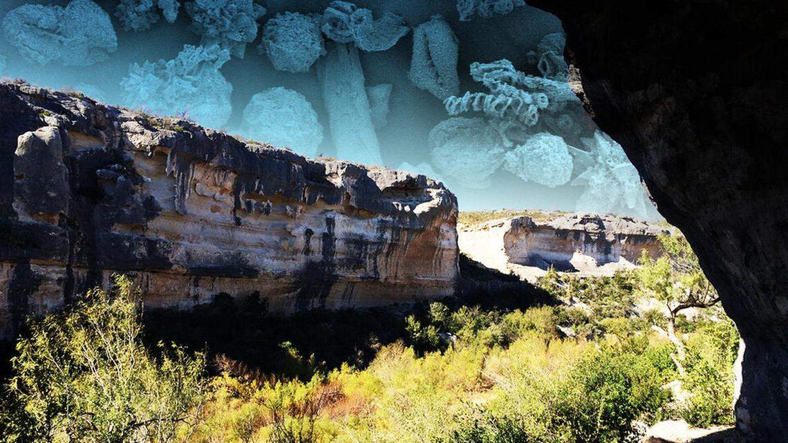 Re-analyzing the microscopic gut contents of a mummy buried in the Lower Pecos Canyonlands of Texas has revealed the extreme pressure that built up in the colon. The case study, along with two others, is detailed in a forthcoming book chapter authored by University of Nebraska’s Karl Reinhard and his colleagues.