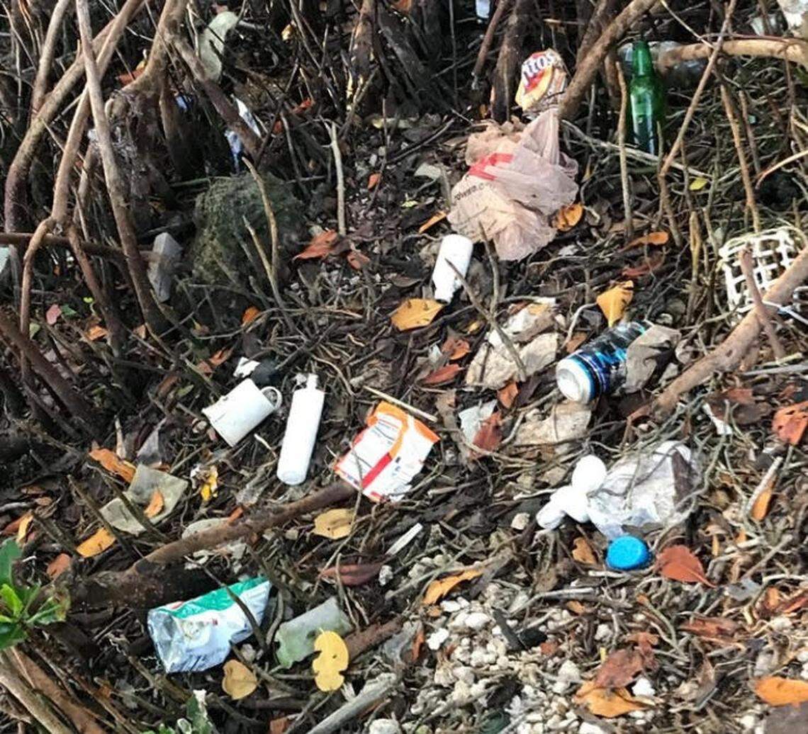 Trash is strewn about the mangroves at Indian Key Fill in Islamorada following the three-day Memorial Day weekend. Local residents and officials want the state to find ways to curb partying in the area.