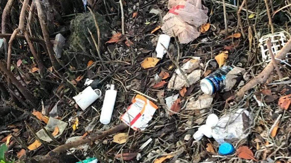 Trash is strewn about the mangroves at Indian Key Fill in Islamorada following the three-day Memorial Day weekend. Local residents and officials want the state to find ways to curb partying in the area.