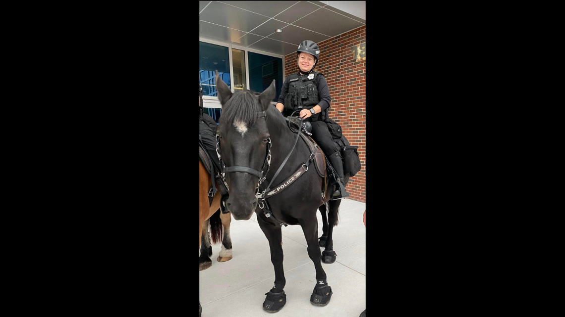 Brooklyn, the horse involved in the incident, is a 1,400-pound p​ercheron “thoroughbred cross gelding” born in 2003, St. Petersburg police say.