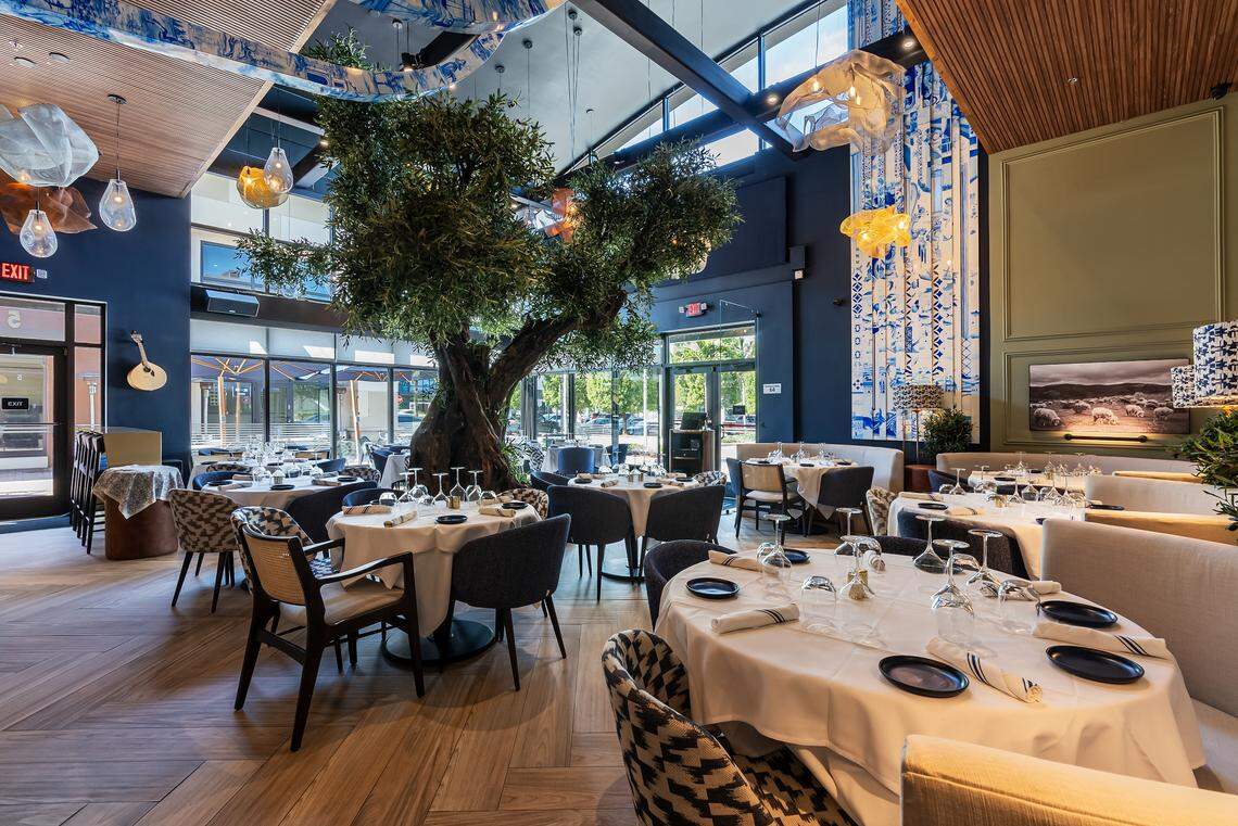 A 120-year-old olive tree sits at the center of Old Lisbon Portuguese restaurant in Aventura. The restaurant is the third location for the iconic original at Coral Way and 17th Avenue in Miami.