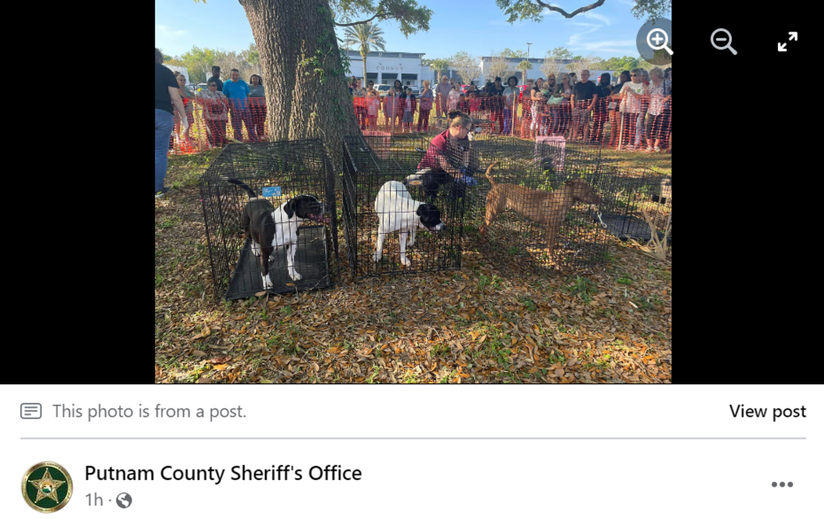 More than 100 people arrived in Palatka to give the rescued animals a new home, the sheriff’s office said.