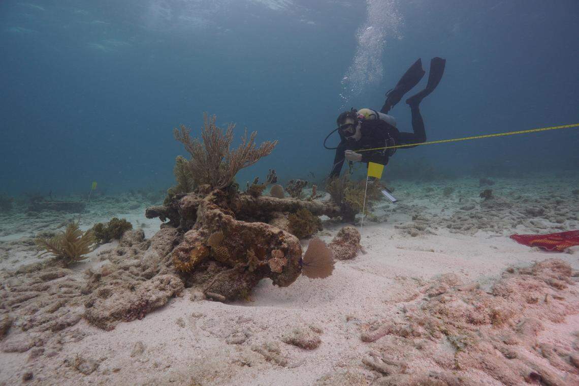 A research group known as Diving with a Purpose is credited with helping to solve the mystery. The non-​profit organization trains divers in underwater archaeological techniques and in ecological monitoring, officials said.