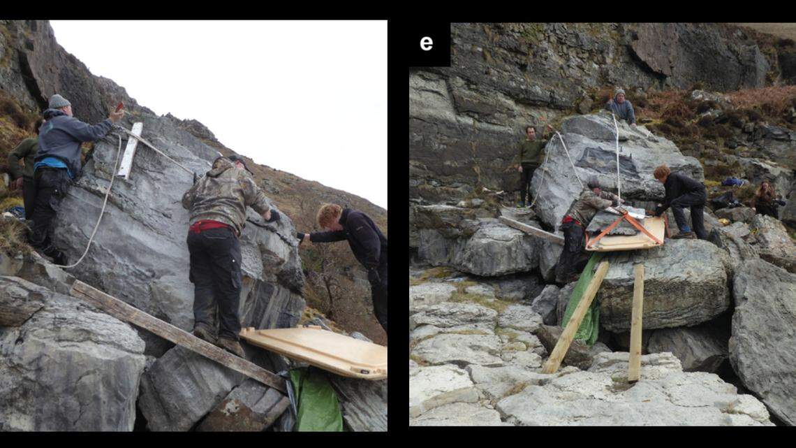 The fossils were originally found in 1973 but not extracted until 2018, researchers said.