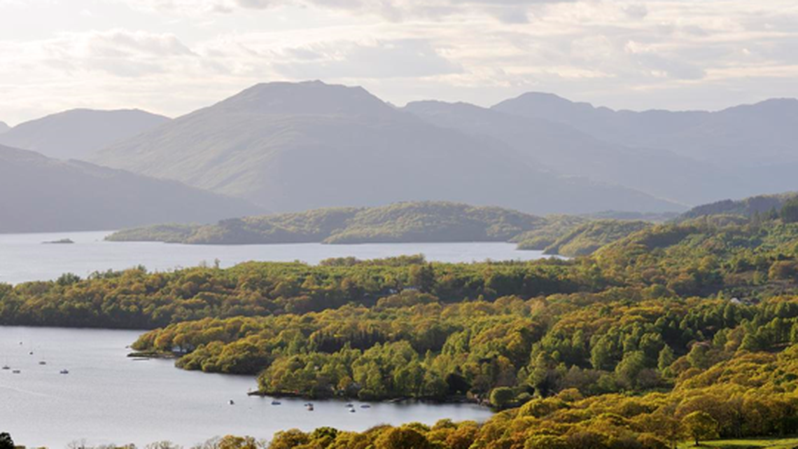 Researchers discovered the creature in two lakes; the animals are endangered and previously found only in rivers, experts said.
