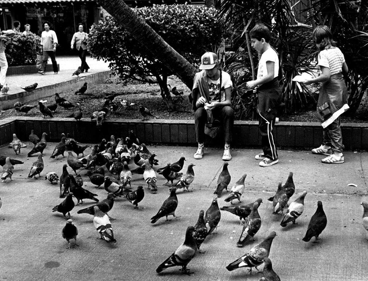 In 1983, tourists feed the pigeons on Lincoln Road.