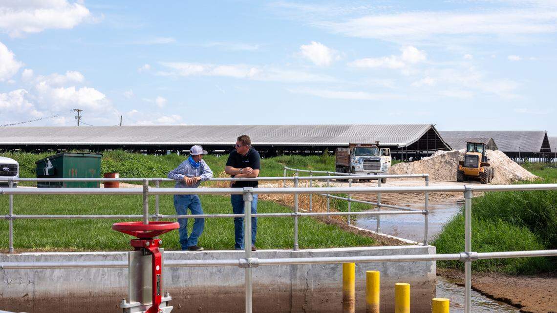 Bill could boost Florida’s ‘renewable’ fuel industry. Critics say it will cost consumers