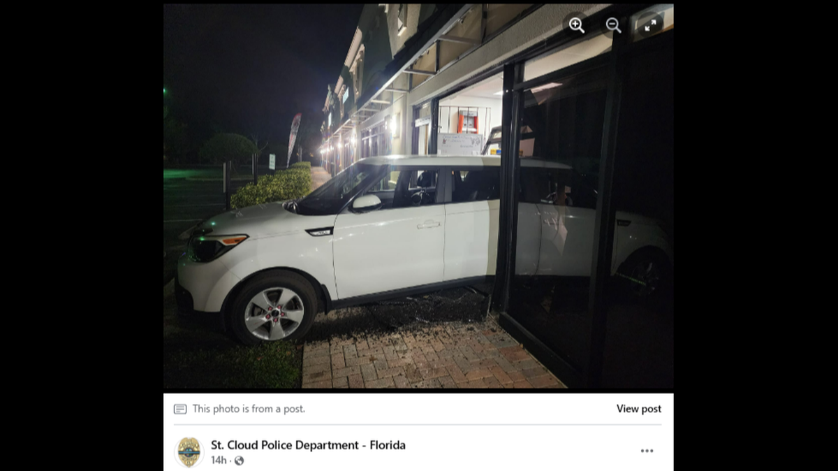 Late night burglary spree came to a humiliating end for three Florida teens when their car got stuck inside a gun store, Florida cops say.