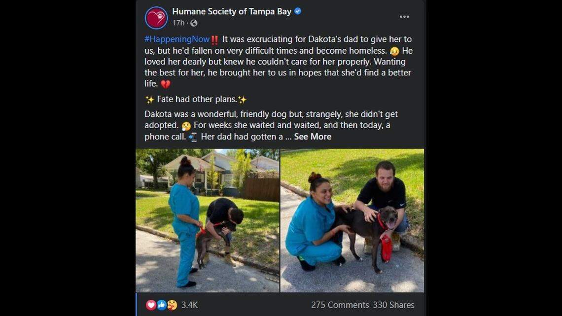 He gave up his beloved dog when he lost his Florida home. Then came an unlikely reunion