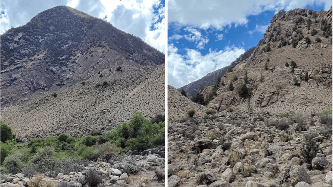 In the southern mountains of Tibet, a nocturnal creature hides under the rocks during the hot days.