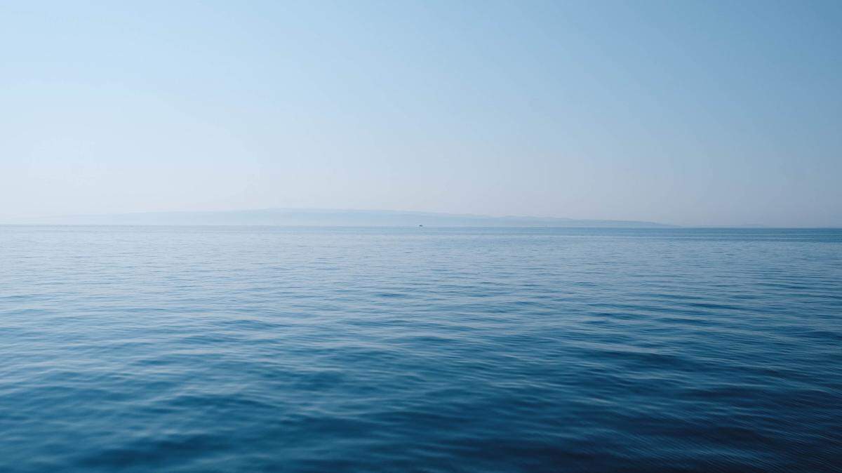 A baby whale surprised boaters in Australia, according to a Facebook post.