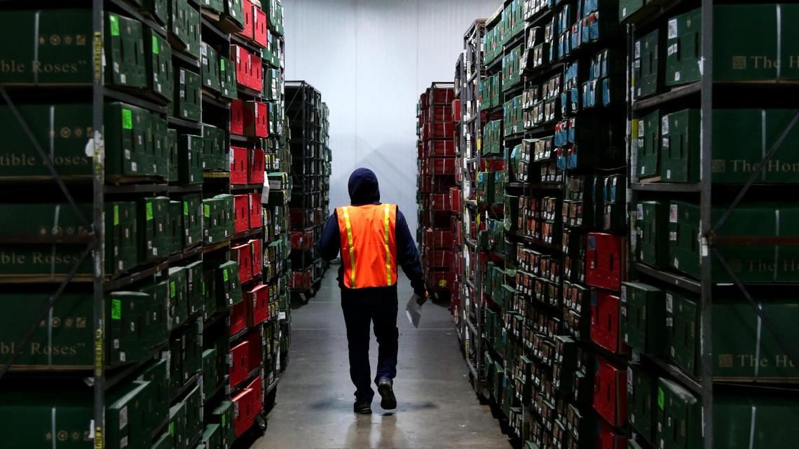 A worker wearing a work winter jacket is seen inside the Falcon Farms cold storage facility building in Doral.
