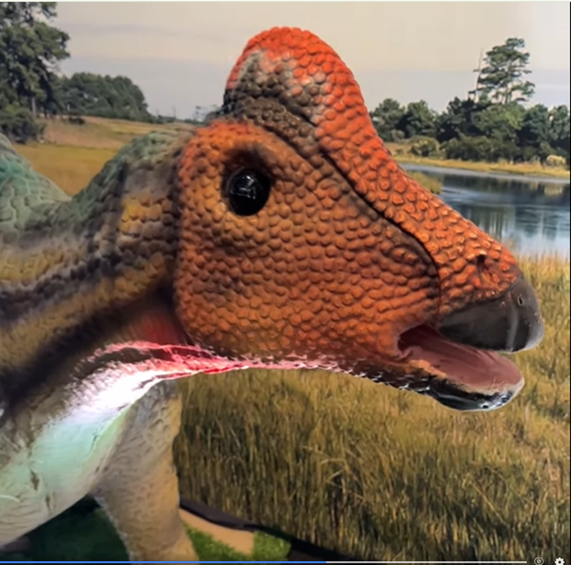 The hadrosaurs were “duckbilled dinosaurs” that could reach up to 50 feet in length, experts say. This is a recreation of what they may have looked like shared by the Clinton Presidential Center.