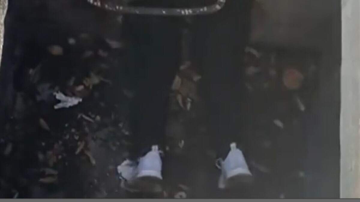 Liz Jones of Operation Rescue climbs in a sewer drain in Delray Beach to save a kitten