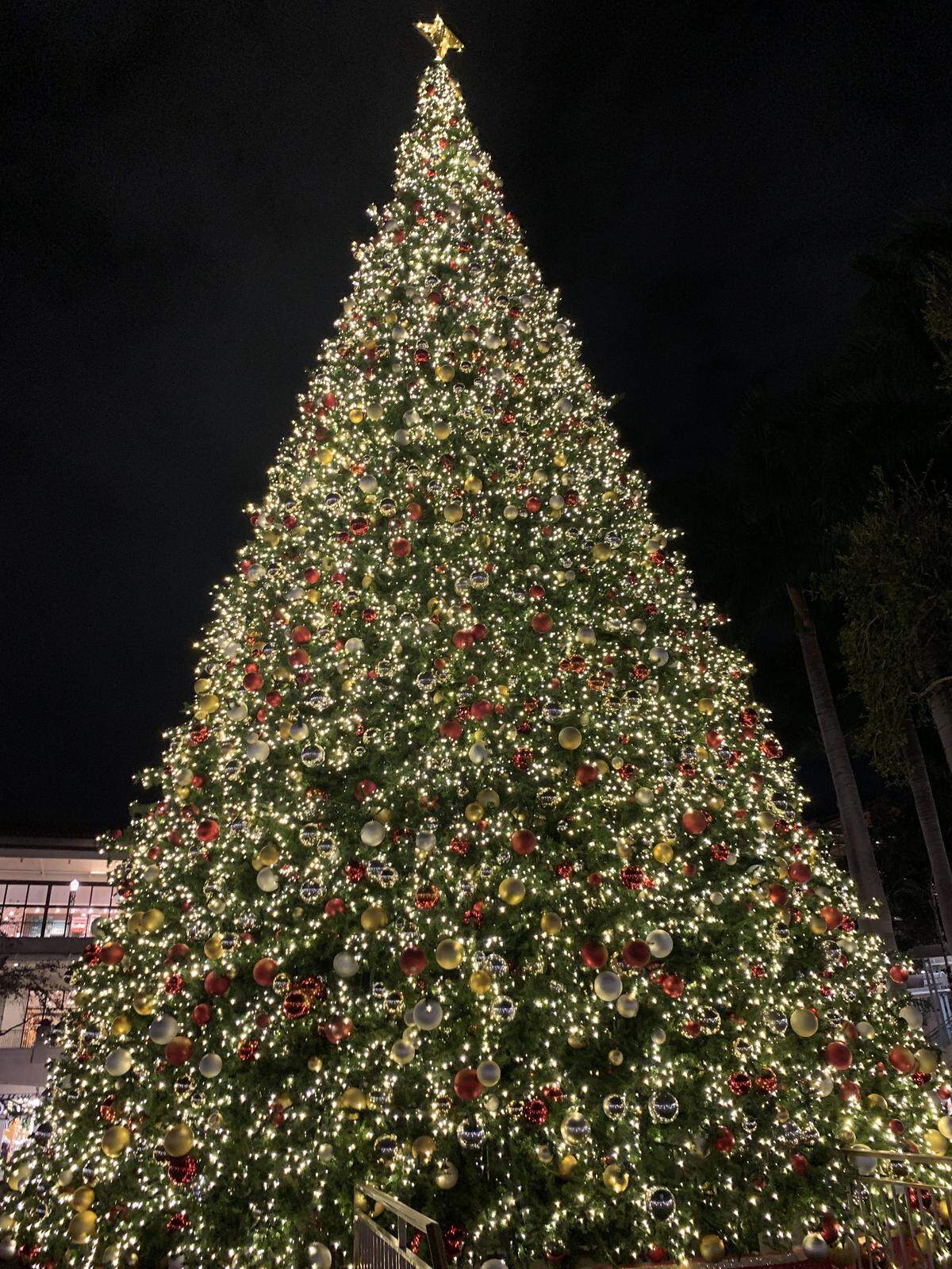 Merrick Park Christmas tree