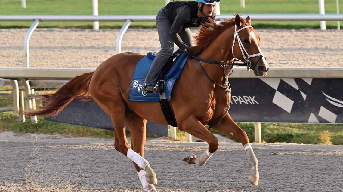 In Pegasus World Cup, Cyberknife looks to accomplish a feat his daddy did