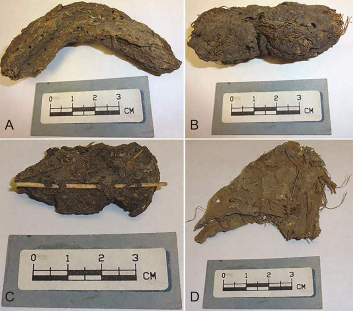 Dried human poop from over 1,000 years ago was found in the Cave of the Dead Children in Mexico.