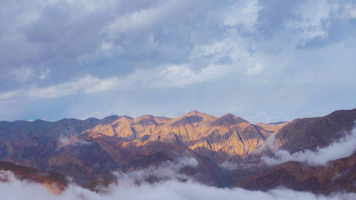 In the mountains of southern Iran, a new and potentially deadly species was discovered.