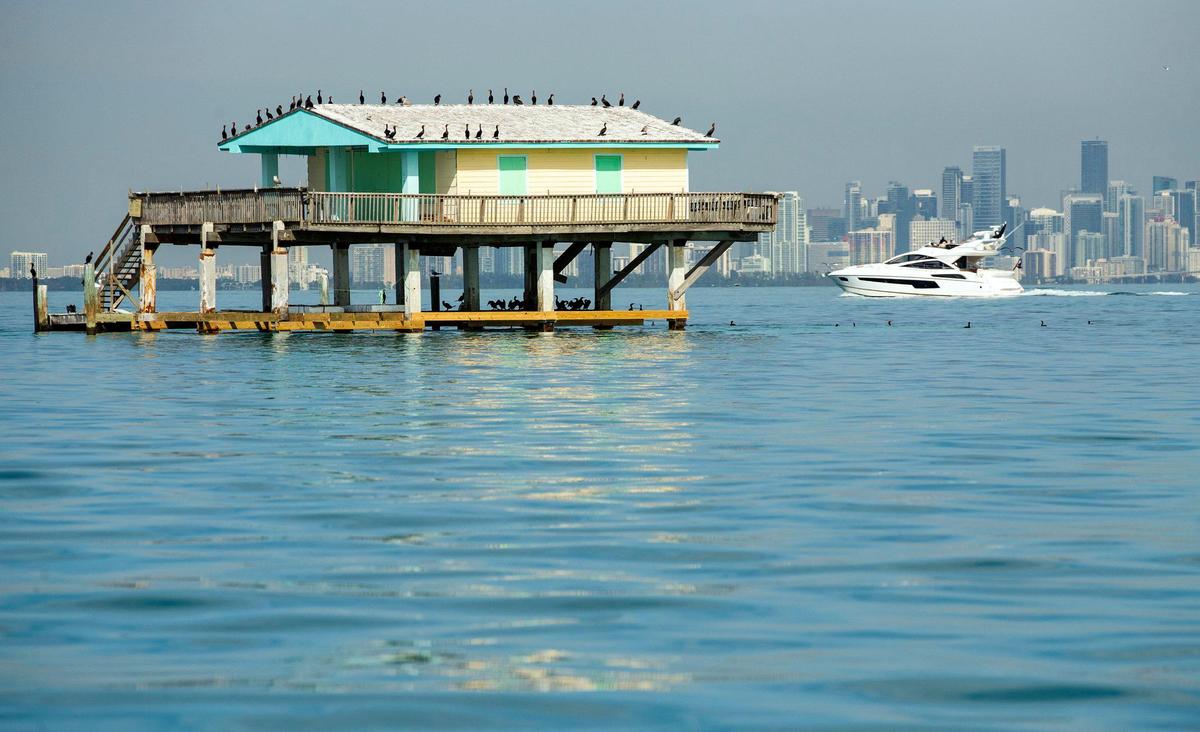 One of the proposed designs for a Biscayne Bay specialty license plate features a Stiltsville house.