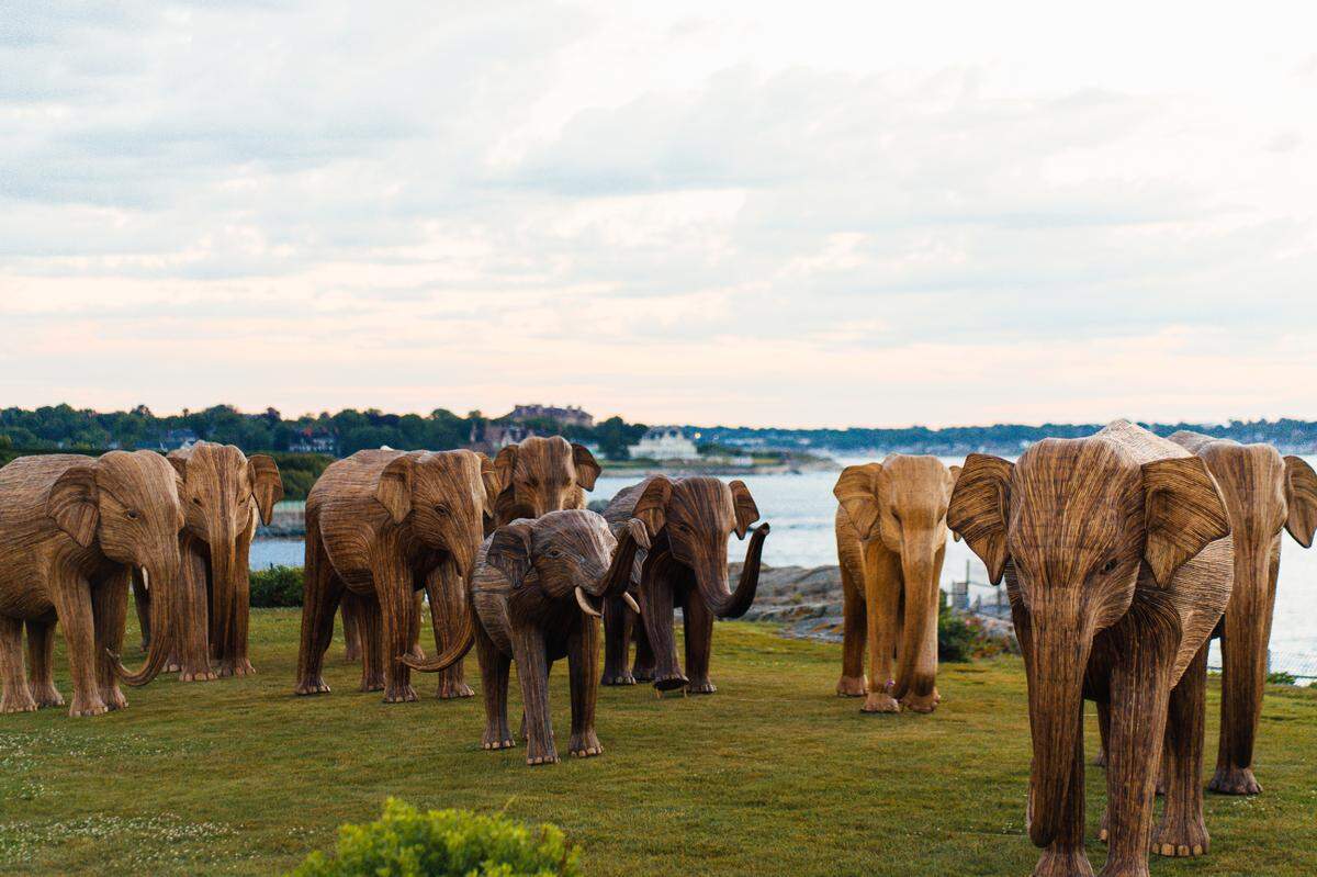 The Great Elephant Migration will be on the sands of Miami Beach at 36th Street.