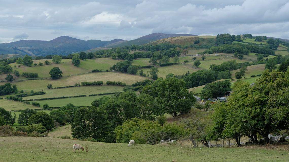A metal detectorist in Monmouthshire found a silver brooch from 600 years ago, archaeologists said. Photo shows a representative area of Wales.