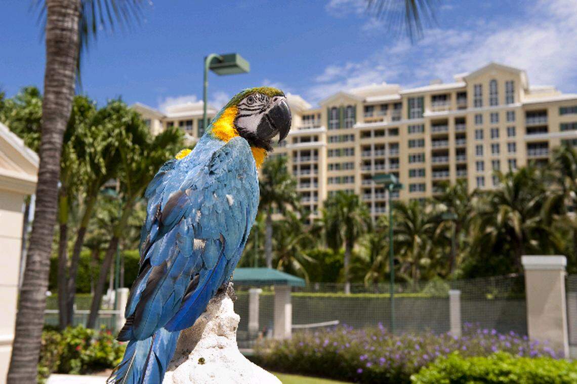 Ritz-Carlton Key Biscayne to close in May as owner, developer Gencom, starts renovation. More than 400 employees will be laid off.