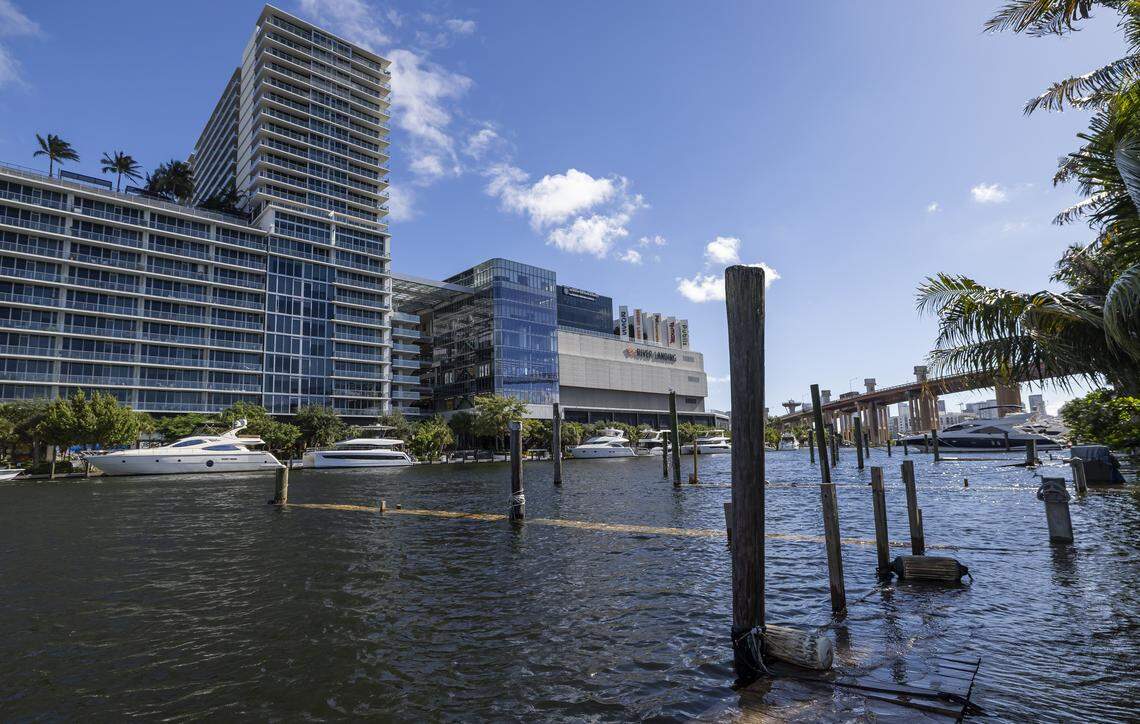 Docks are underwater on the Miami River as king tide rises near Grove Park on the morning of Wednesday, Oct, 8, 2025, in Miami, Fla.
