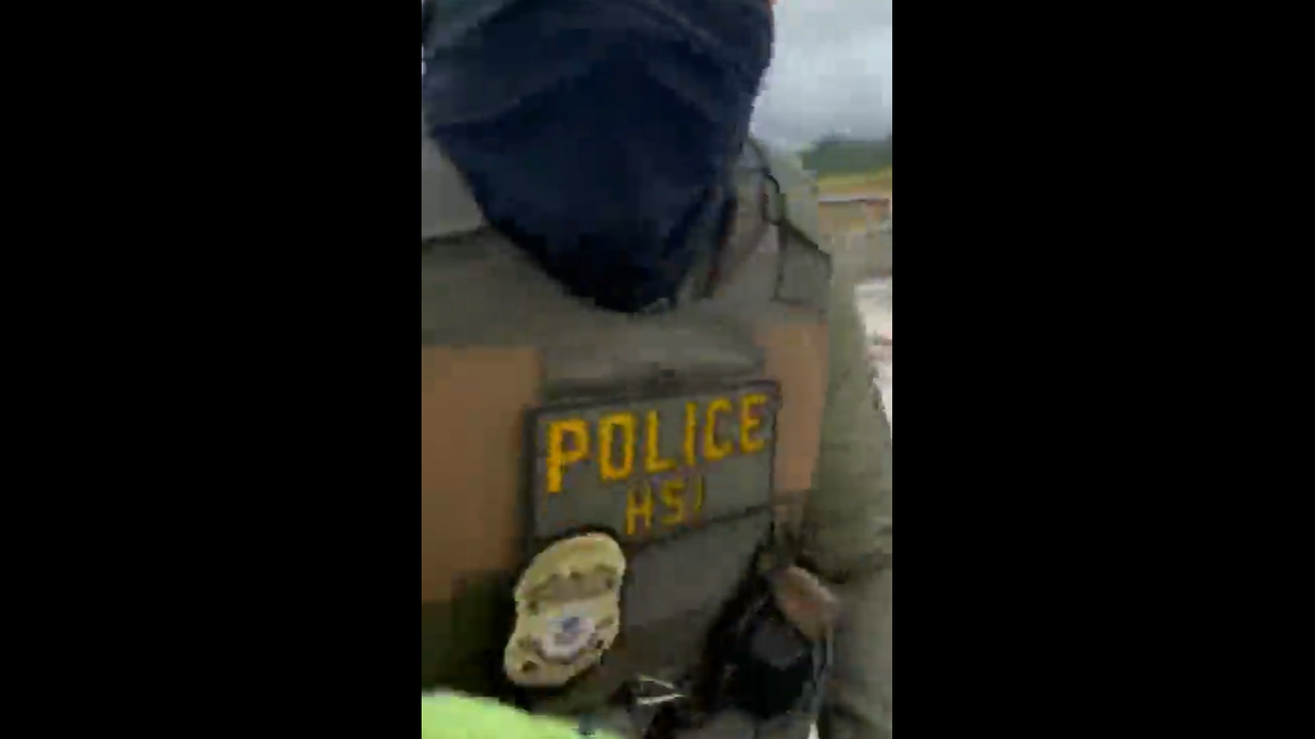 The HSI officer seen in the video recorded by Venegas.