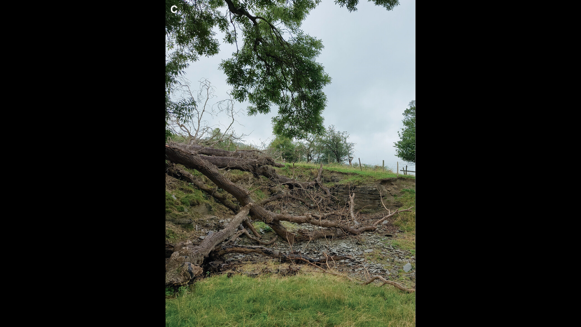 Just over a century ago, fossils of a prehistoric predator were found at a quarry in the United Kingdom.