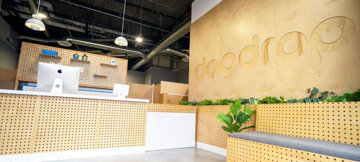 The Dogdrop location in Los Angeles. Dogdrop memberships start at $60 a month.
