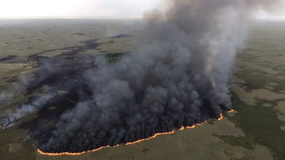 Los rayos provocan dos grandes incendios en el Parque Nacional de los Everglades, en Homestead