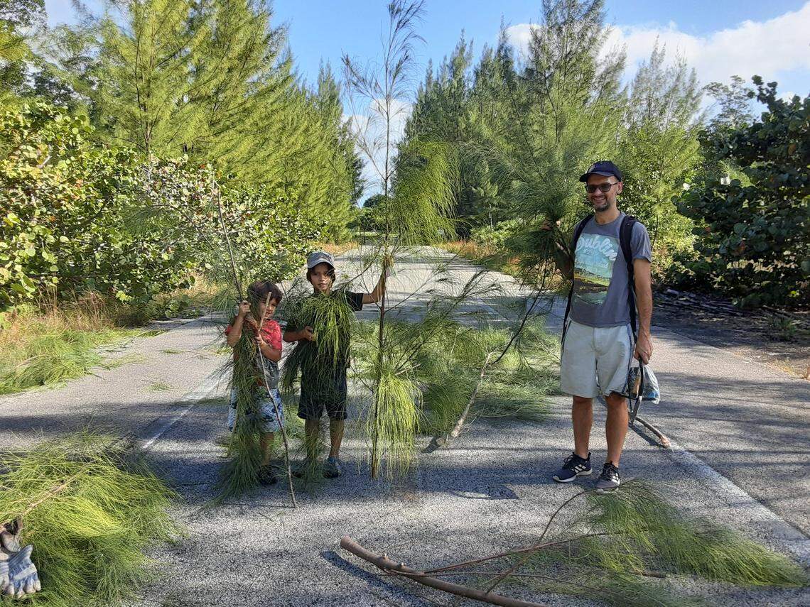The environmental group, Urban Paradise Guild, is helping the community cut down the invasive Australian Pine at Arch Creek Park to take home.