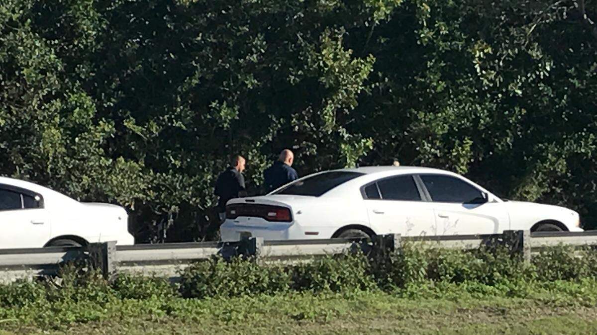 Miami-Dade County Police Department detectives talk along the side of SW 248th Street while they investigate the death of a man whose body was found on the road early Friday morning, Feb. 15, 2019.