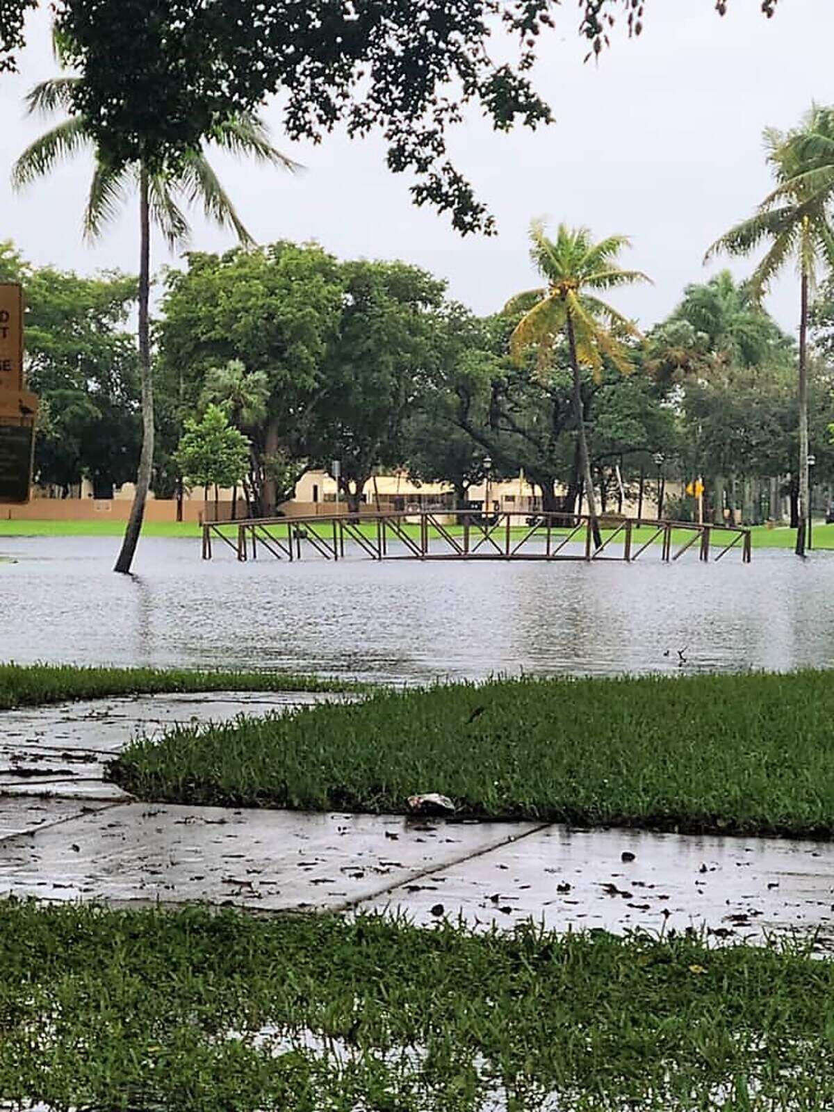 This park area in Miami Lakes was left underwater by Tropical Storm Eta’s unrelenting rains.